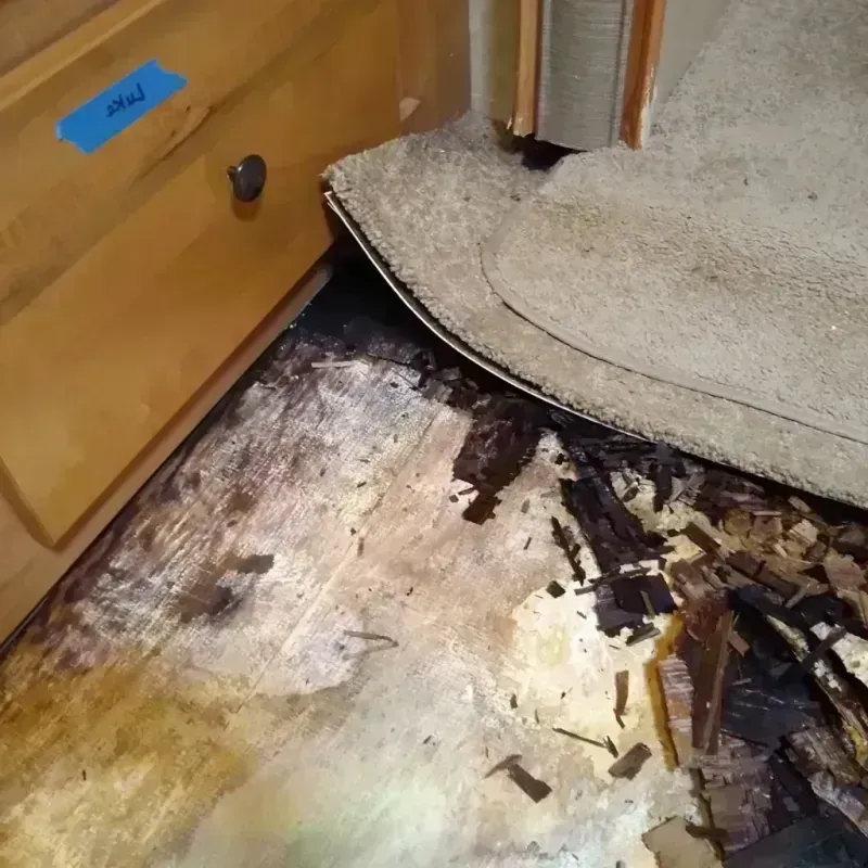 Best Wood Floor Water Damage Service in Navesink, NJ